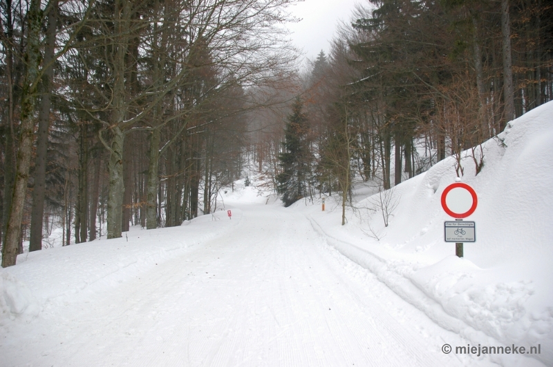 DSC_2948.JPG - Bayerisch Wald