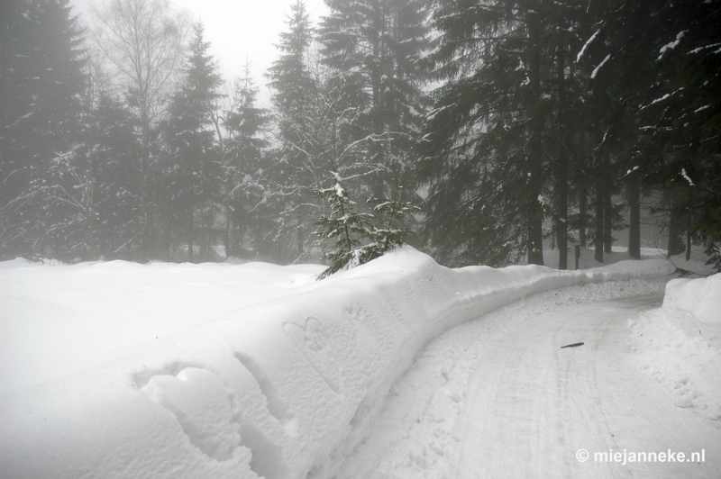 DSC_2983a.JPG - Bayerisch Wald