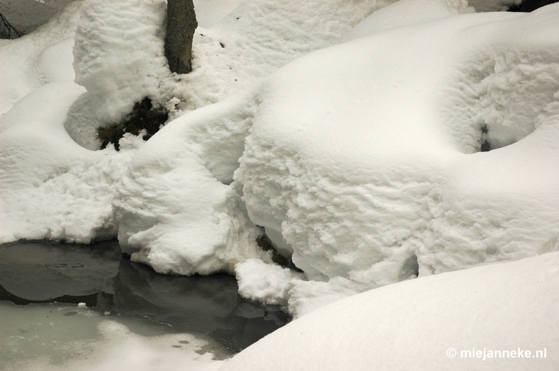 DSC_3019.JPG - Bayerisch Wald