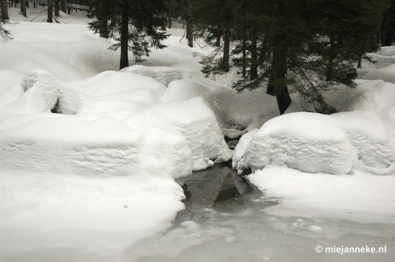 DSC_3021.JPG - Bayerisch Wald