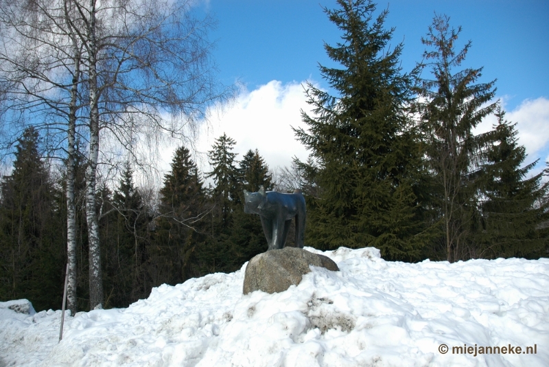 DSC_3056.JPG - Bayerisch Wald