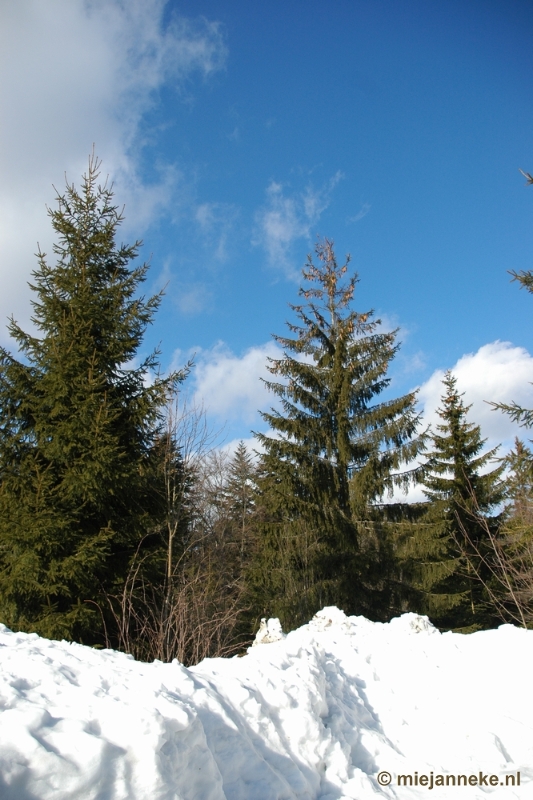 DSC_3125.JPG - Bayerisch Wald