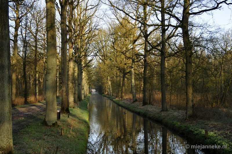 _DSC2006.JPG - De Pan Cranendonck