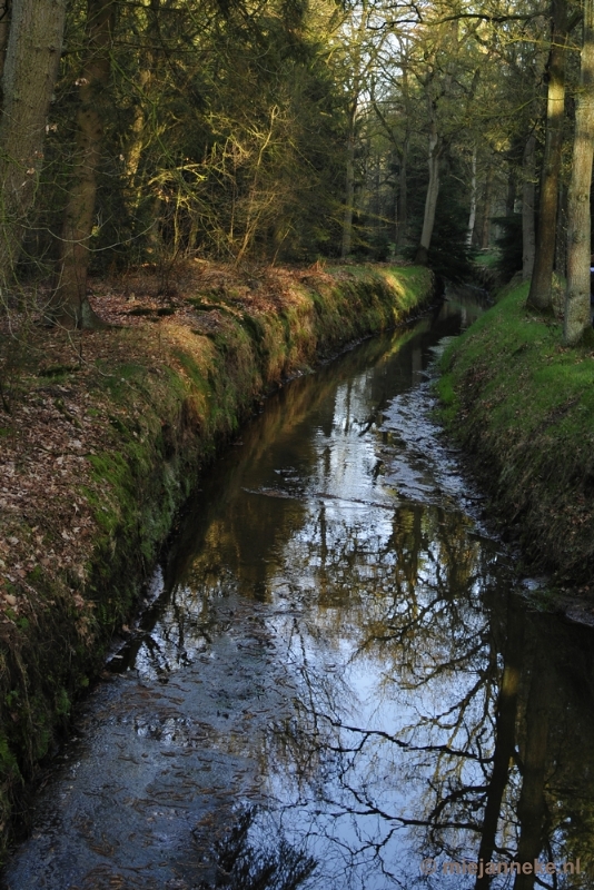 _DSC2015.JPG - De Pan Cranendonck