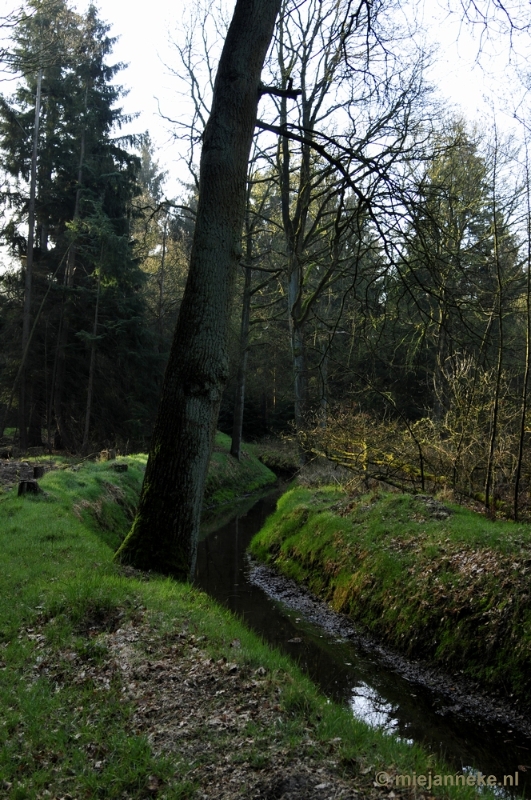 _DSC2017.JPG - De Pan Cranendonck