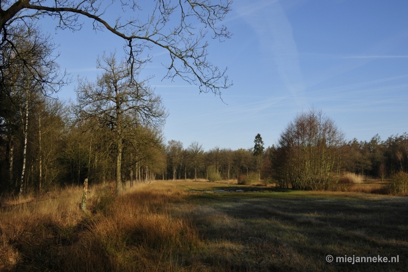 _DSC2060.JPG - De Pan Cranendonck