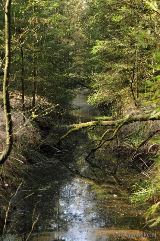 _DSC2087.JPG - De Pan Cranendonck