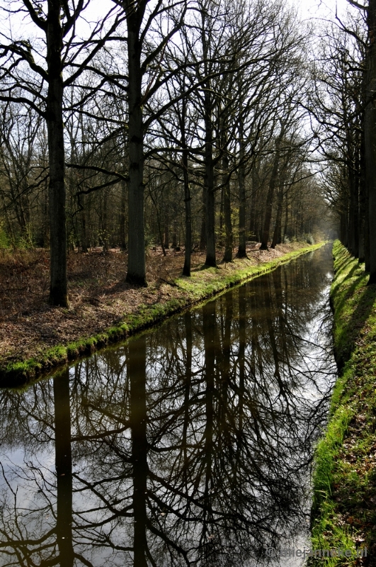 _DSC2110.JPG - De Pan Cranendonck