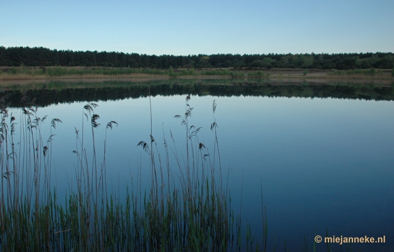 DSC_8086.JPG - Lommel Sahara