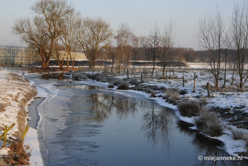 _DSC7540.JPG - Strabrecht