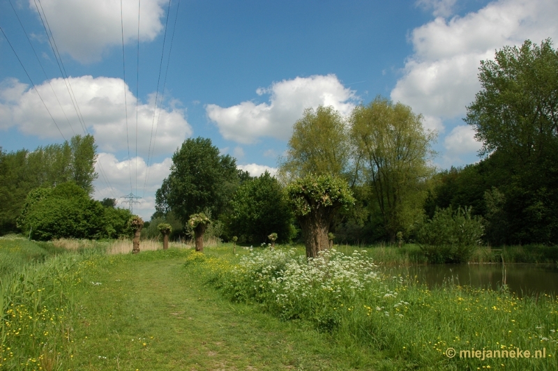 DSC_3126.JPG - Wandelpad door park langs de grote weg Ridderkerk