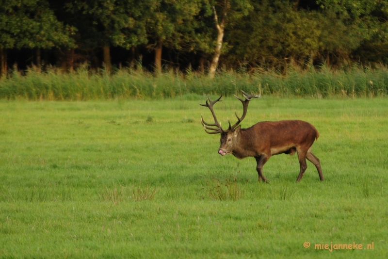 _DSC8522.JPG - Weerterbergen