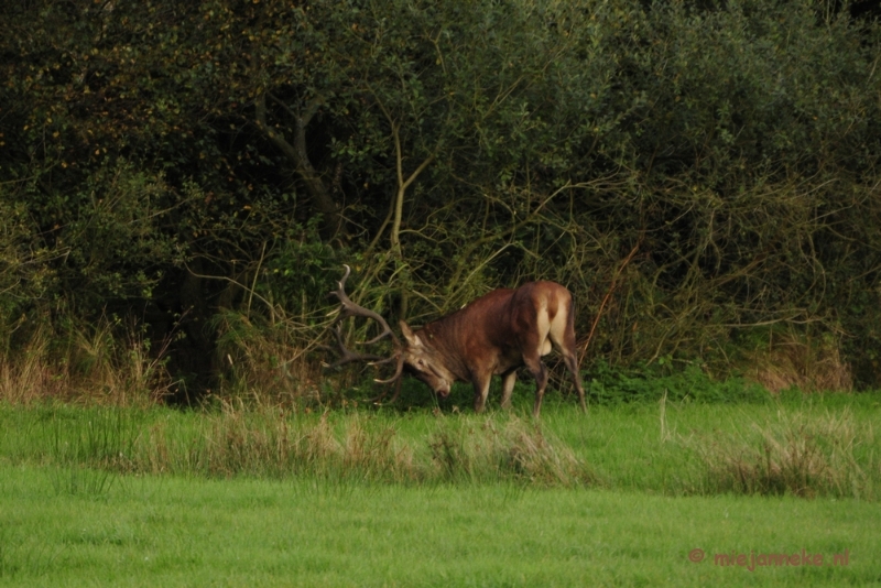 _DSC8644.JPG - Weerterbergen