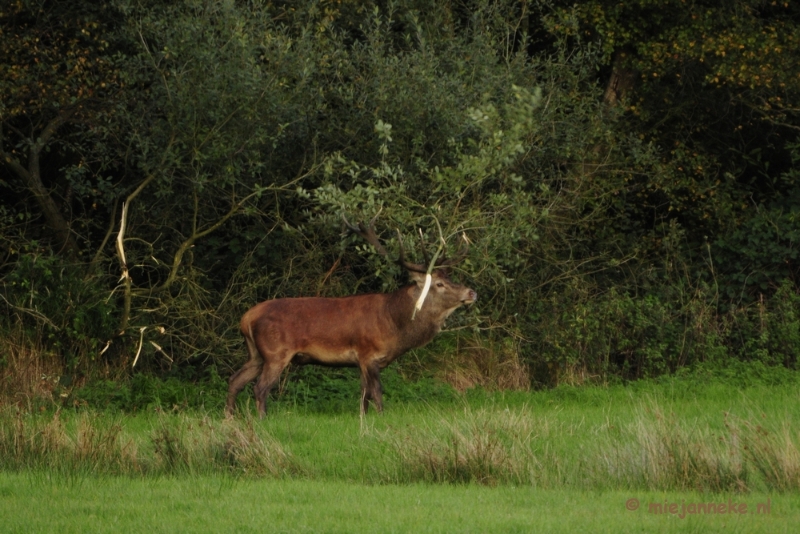 _DSC8733.JPG - Weerterbergen