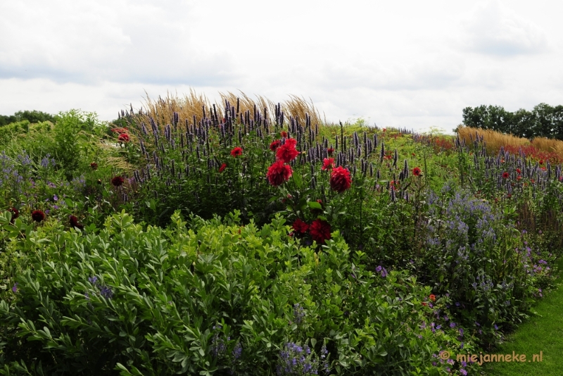 _DSC2037.JPG - Floriade 2012