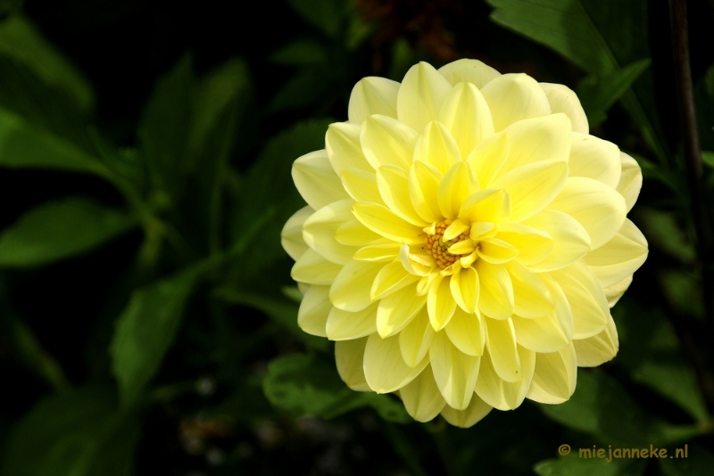 _DSC2063.JPG - Floriade 2012