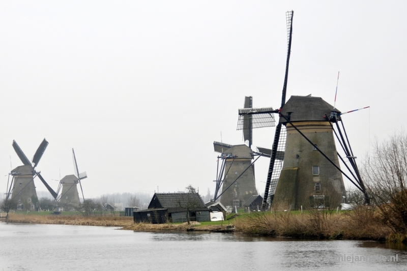 _DSC8839.JPG - Kinderdijk