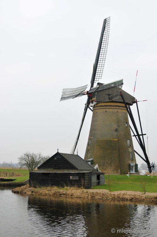 _DSC8854.JPG - Kinderdijk