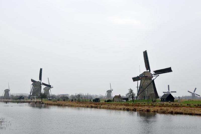 _DSC8856.JPG - Kinderdijk