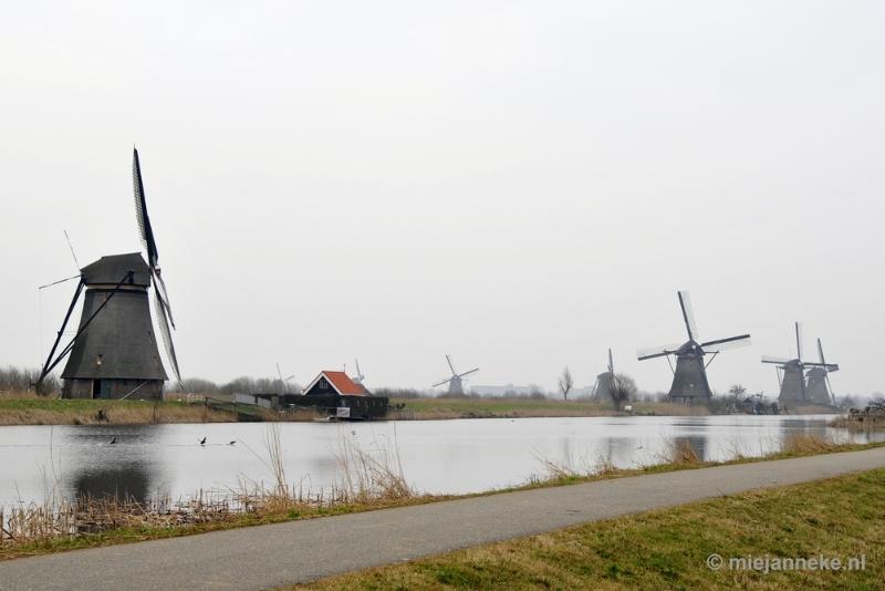 _DSC8859.JPG - Kinderdijk