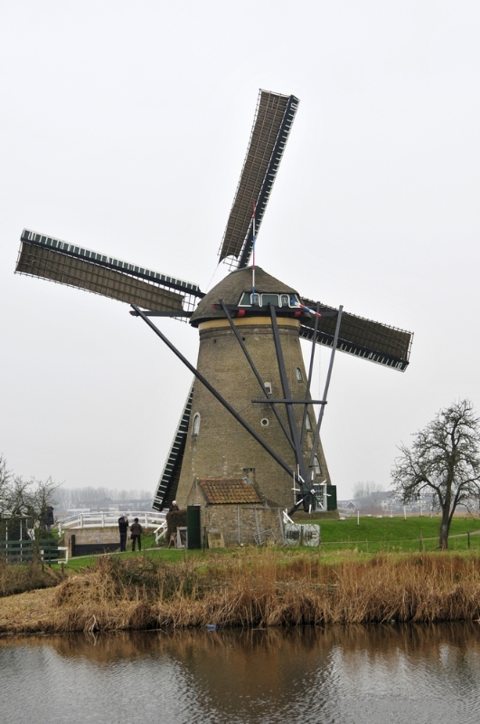 _DSC8866.JPG - Kinderdijk