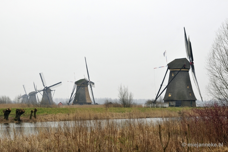 _DSC8925.JPG - Kinderdijk