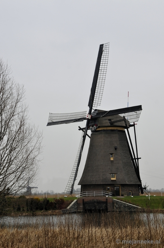 _DSC8927.JPG - Kinderdijk