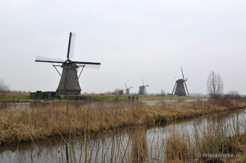 _DSC9011.JPG - Kinderdijk