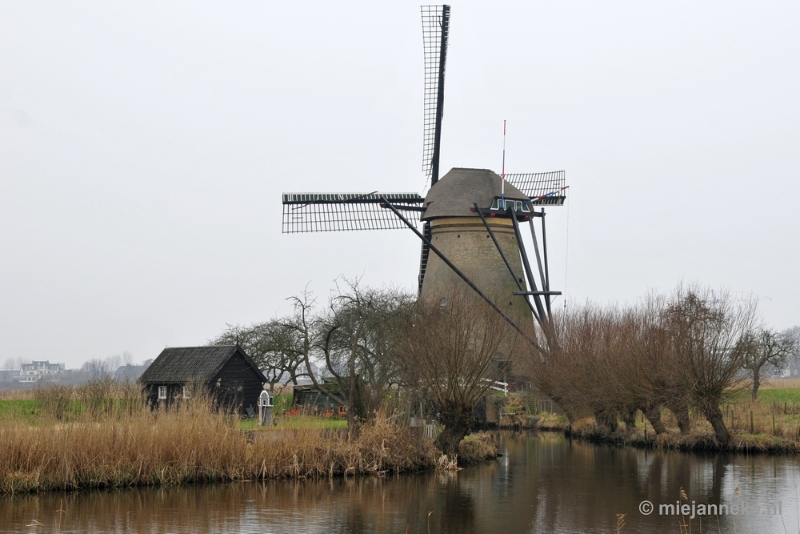 _DSC9013.JPG - Kinderdijk