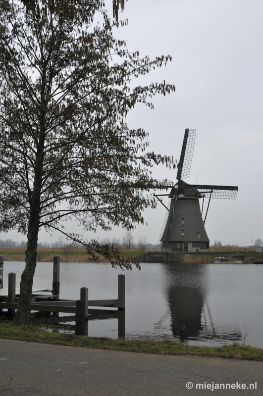 _DSC9017.JPG - Kinderdijk