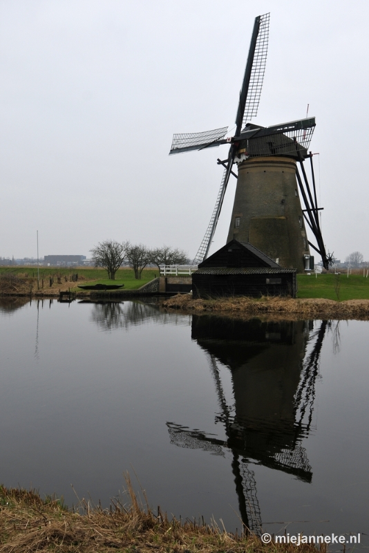 _DSC9022.JPG - Kinderdijk