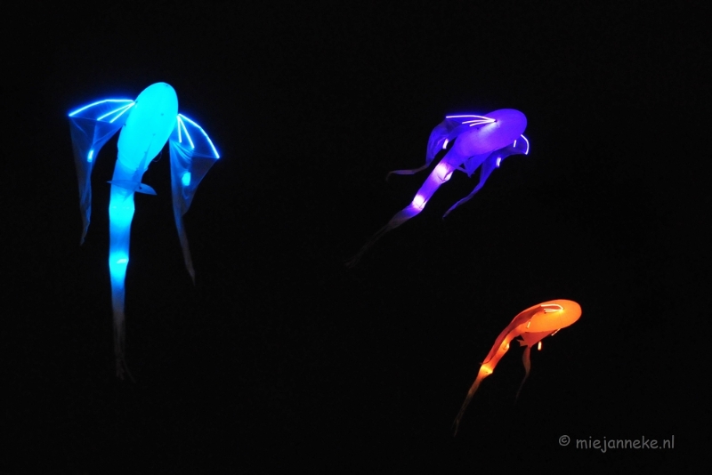 glow2013 31.JPG - Glow Eindhoven 2013