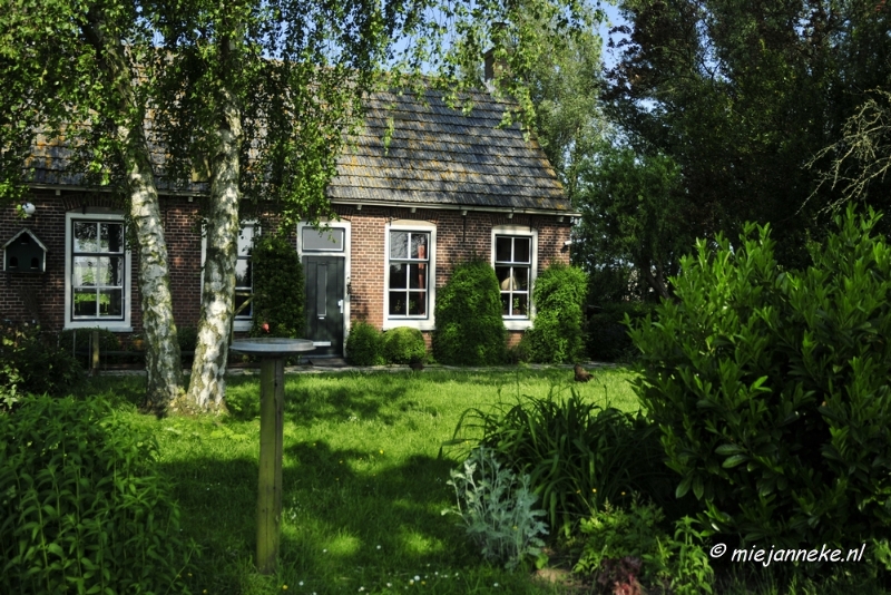 _DSC3737.JPG - Tiengemeten