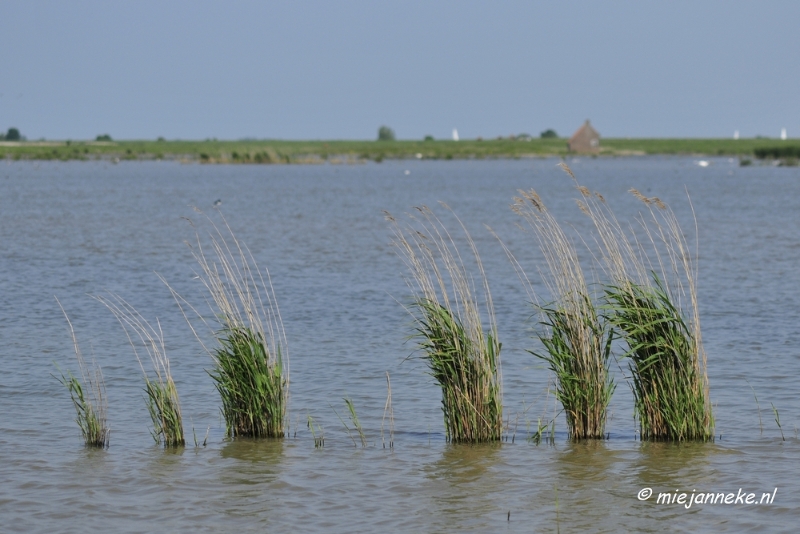 _DSC3759.JPG - Tiengemeten