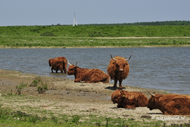 _DSC3954.JPG - Tiengemeten