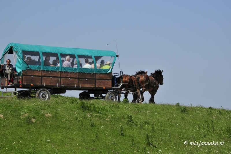 _DSC3975.JPG - Tiengemeten