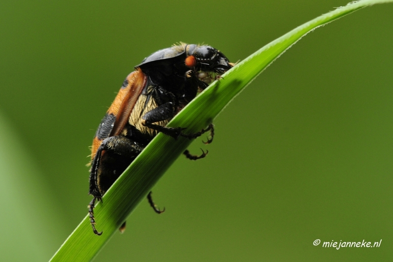 _DSC5111.JPG - Vroeg in de morgen