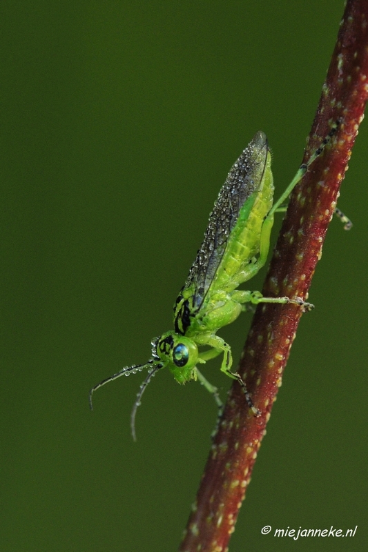 _DSC5626.JPG - Rondje Brabant