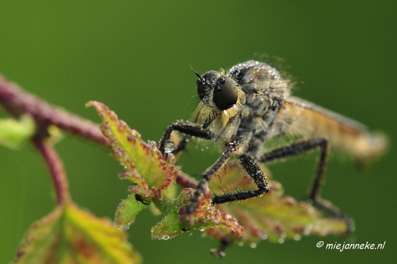 _DSC5638.JPG - Rondje Brabant