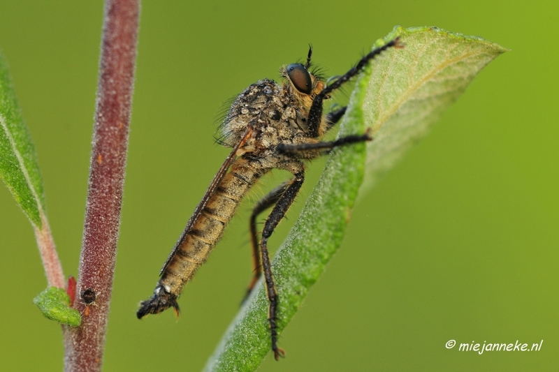 _DSC5647.JPG - Rondje Brabant