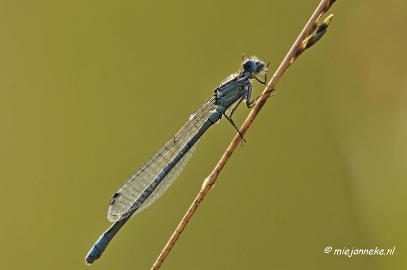 _DSC5682.JPG - Rondje Brabant