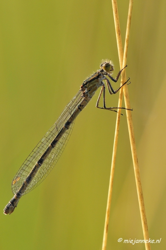 _DSC5707.JPG - Rondje Brabant