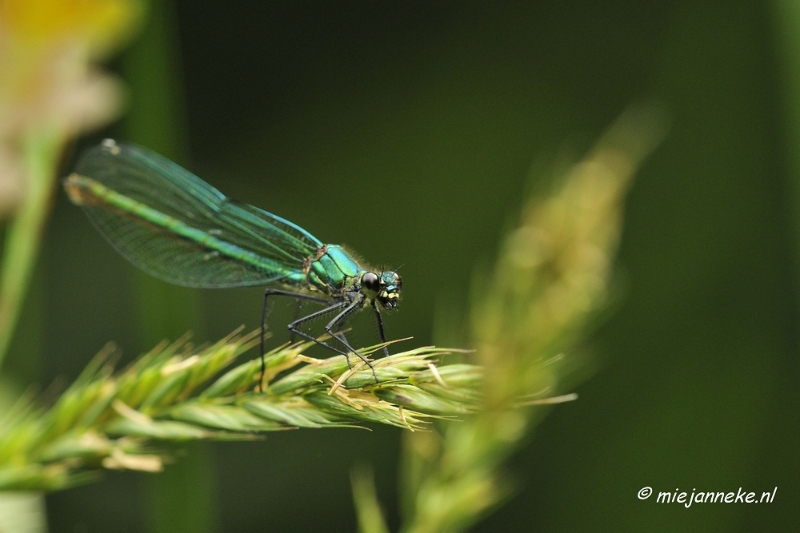 _DSC5832.JPG - Rondje Brabant