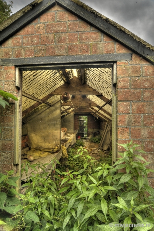 48.JPG - Verlaten dorp Doel 2012