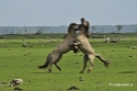 Landschap en Natuur 2013