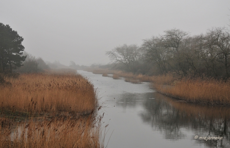 db1DSC_7982.JPG - Amsterdamse waterleiding duinen 2014