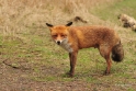 db1DSC_7831