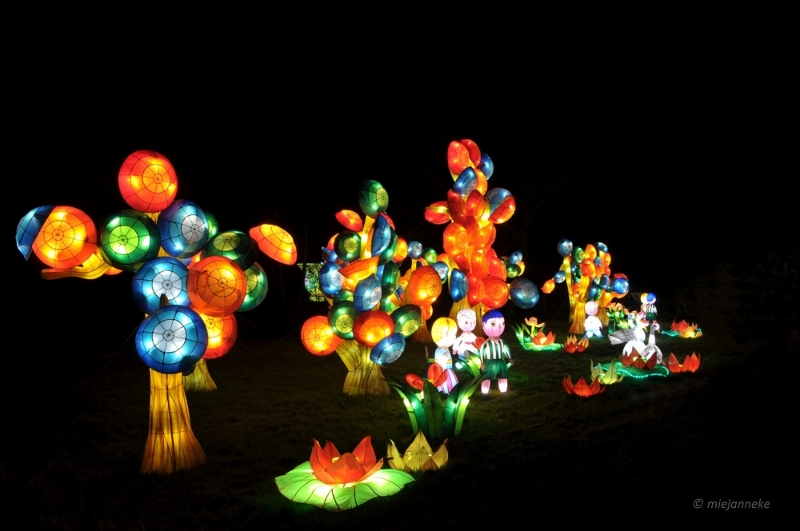 bdDSC_8201.JPG - China Light Festival Utrecht