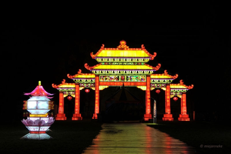 bdDSC_8342.JPG - China Light Festival Utrecht