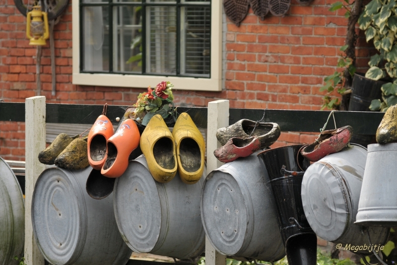 dbDSC_0450.JPG - Edam in Augustus